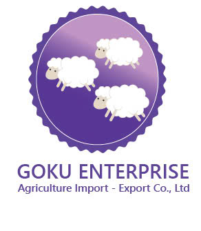 logo goku