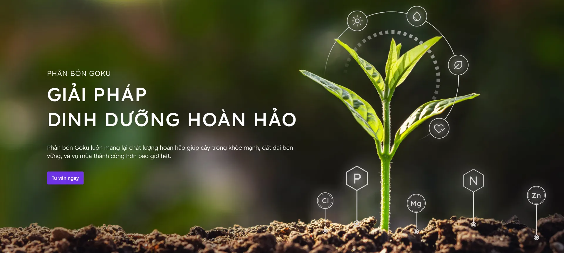 anh banner desktop