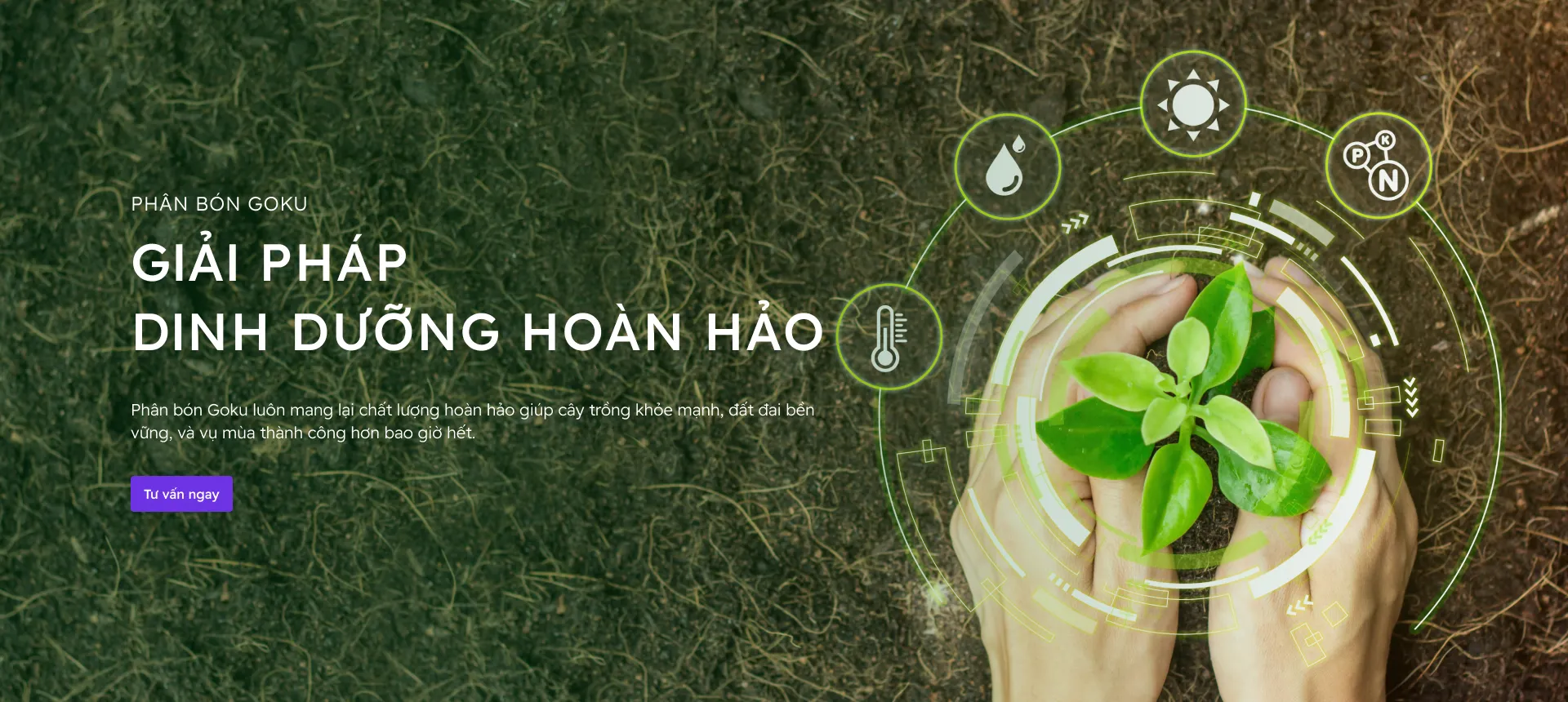 anh banner desktop